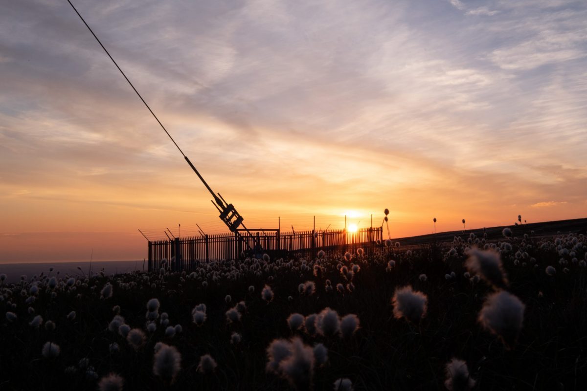 Winter Hill mast stays & bog cotton