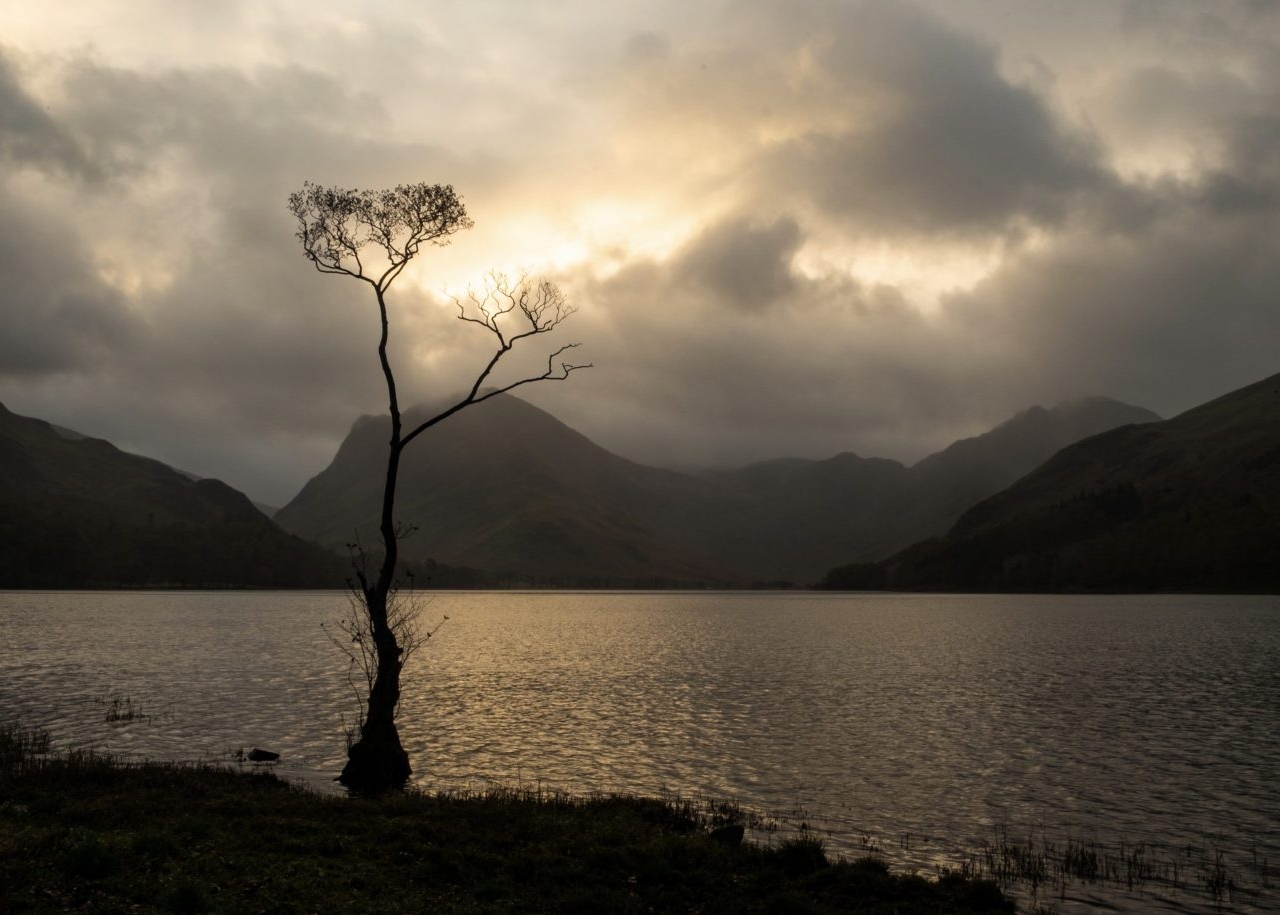 November - The Lone Tree, Buttermere